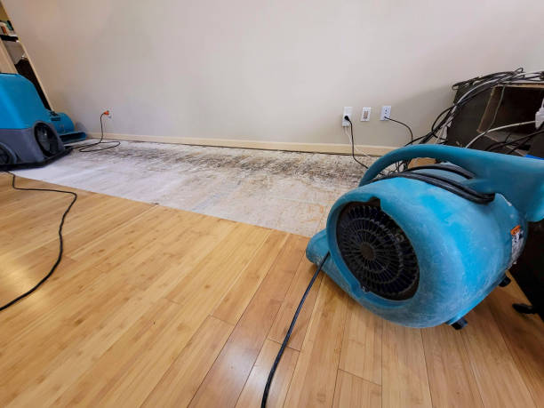 Professional Water Removal technician working in North Bloomfield, OH